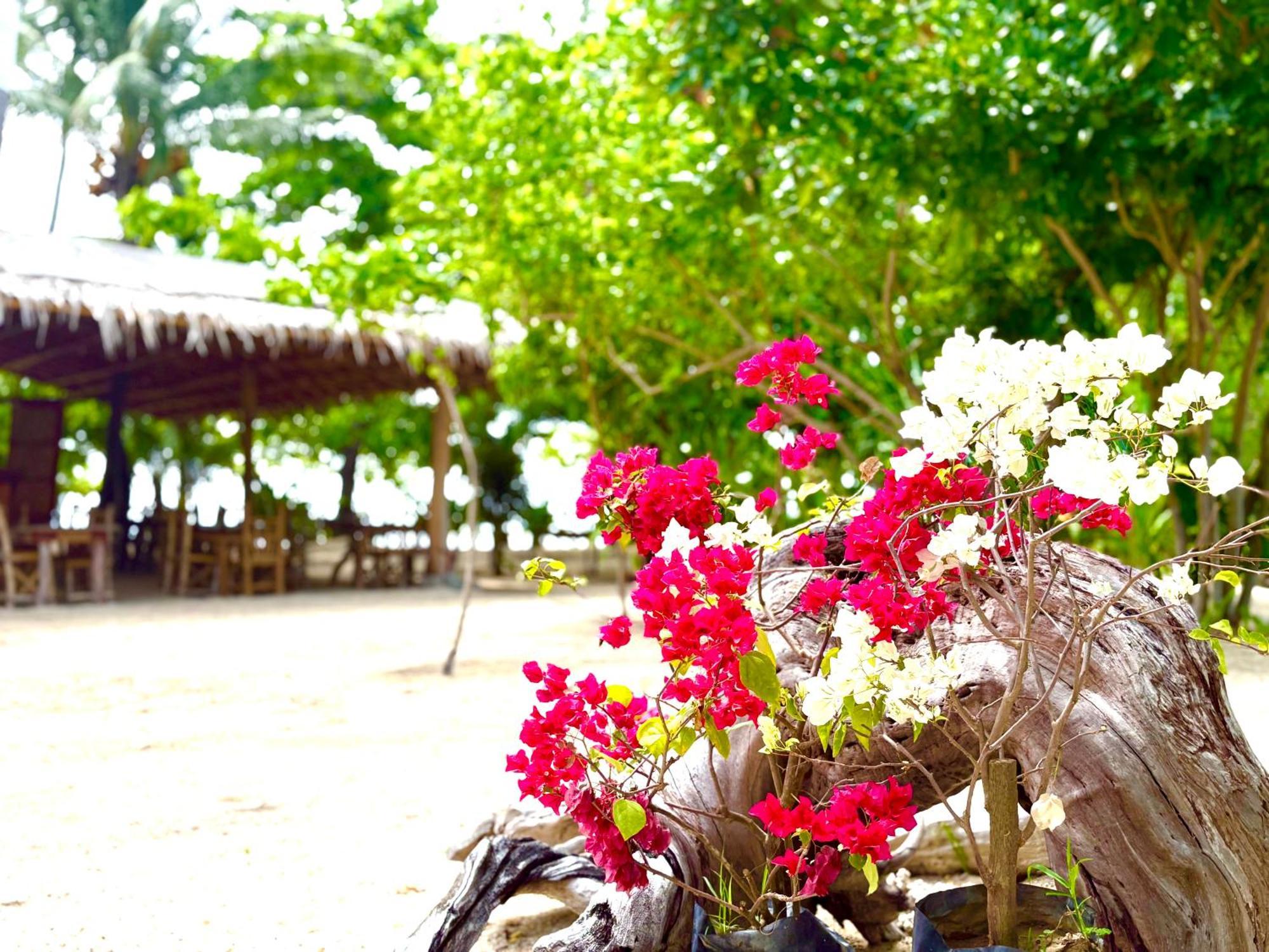 Dosplaya Ecocamp Hotel El Nido Eksteriør billede
